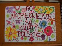 32090036_895730073940291_6613749899215241216_n