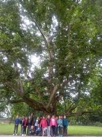 IMG_20180614_091351_resized_20180614_105039409