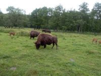 IMG_20180614_092527_resized_20180614_105037611