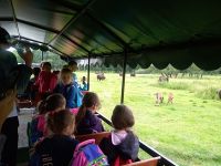 IMG_20180614_092611_resized_20180614_105037080