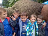 IMG_20180614_102312_resized_20180614_103431324