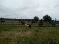 IMG_20180614_110414_resized_20180614_103425900