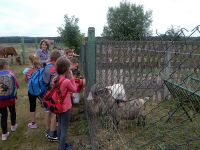 IMG_20180614_110606_resized_20180614_103424469