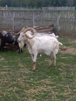 IMG_20180614_110853_resized_20180614_103423498