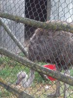 IMG_20180614_111608_resized_20180614_103422381