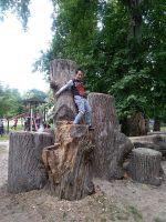 IMG_20180614_130512_resized_20180614_101923925