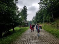 WhatsApp Image 2018-06-18 at 11.15.45