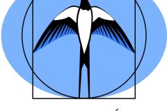 logo-kuratorium-oswiaty-w-krakowie-—-kopia