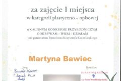 20250521113105559_0001