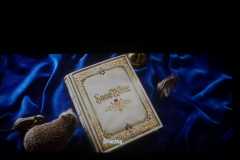 Zdjecie-WhatsApp-2025-03-25-o-08.18.48_4f8da924