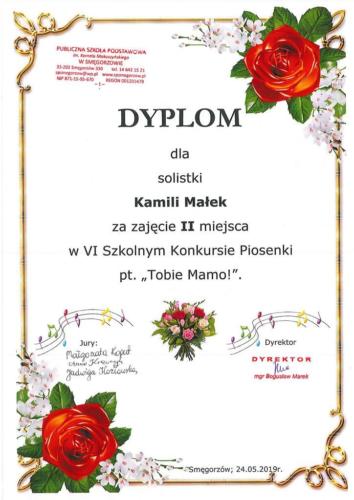 20190528081240680 0003