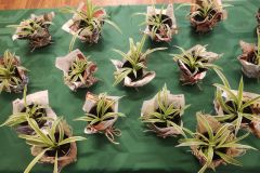 WhatsApp-Image-2026-04-01-at-17.55.29-3