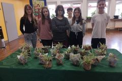 WhatsApp-Image-2026-04-01-at-17.55.29-4