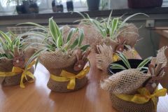 WhatsApp-Image-2026-04-01-at-17.55.30-1