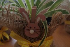 WhatsApp-Image-2026-04-01-at-17.55.30