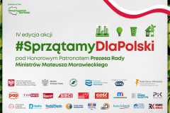 sprzatamydlapolski