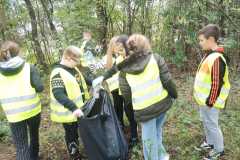 IMG-20241004-WA0015
