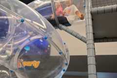 IMG-20231205-WA0010