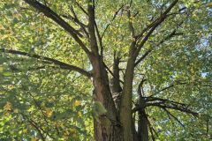 IMG-20250906-WA0038