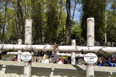 IMG_20220504_125427