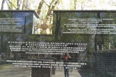 IMG_20220504_125746