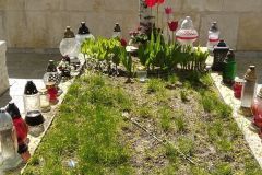 IMG_20220504_130231