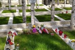 IMG_20220504_130454