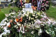 IMG_20220504_132125