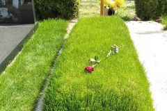 IMG_20220504_132205