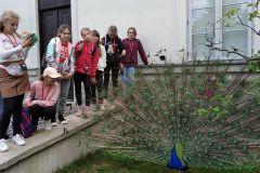 IMG_20220504_145229