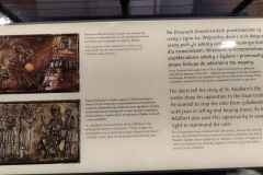 IMG_20220506_114951