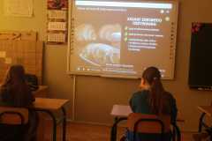 IMG-20250408-WA0017