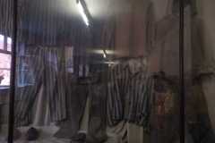 IMG-20231111-WA0001