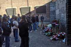 IMG-20231111-WA0004