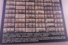 IMG-20231111-WA0005