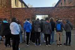 IMG-20231111-WA0007