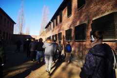 IMG-20231111-WA0009