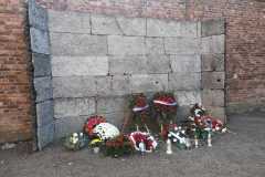 IMG-20231111-WA0010