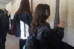 IMG-20231111-WA0013