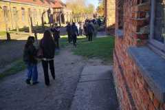 IMG-20231111-WA0015