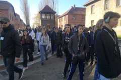 IMG-20231111-WA0024