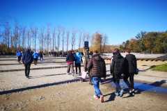 IMG-20231111-WA0026