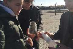 IMG-20231111-WA0034