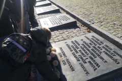IMG-20231111-WA0035