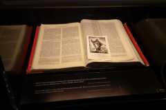 IMG-20231111-WA0038