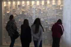 IMG-20231111-WA0040