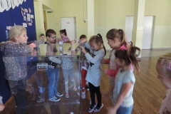 DSCN6786