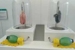IMG-20230514-WA0031