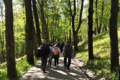IMG-20230514-WA0067