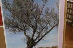 IMG-20250410-WA0077